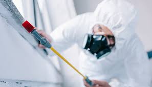 Pest Control for Warehouses in Thibodaux, LA